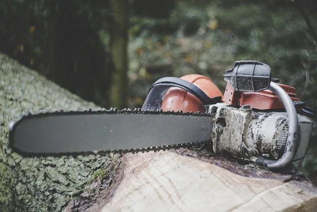 chainsaw, forestry, tree, felling, wood, forest, nature, tribe, timber, section, firewood, landscape, bark, deforestation, bio, plant, tree trunk, environment, afforestation, safety helmet, helmet, cut protection, chainsaw, chainsaw, deforestation, deforestation, deforestation, deforestation, deforestation. Tree service equipment: brands and what they are known for