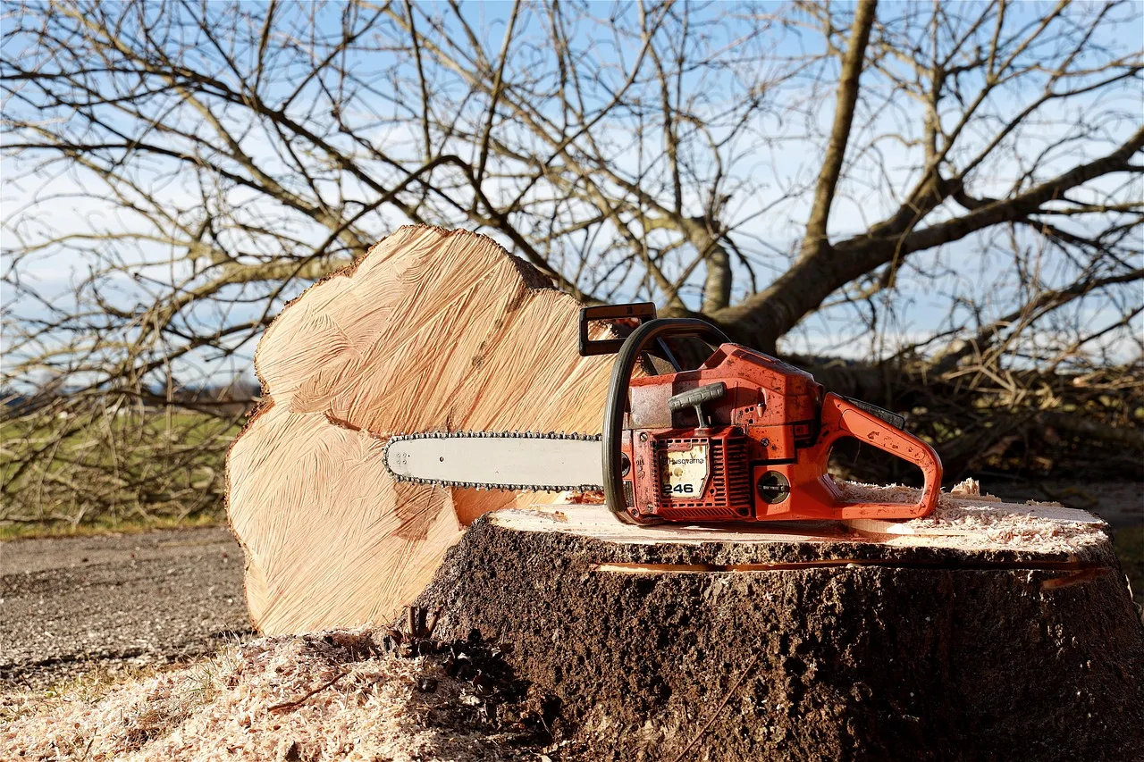 chainsaw, tree, tree pruning, forest work, saw, nature, felling, woodwork, dangerous, forestry, work, like. Arborist Pruning Contracts: Key Clauses for Commercial Tree Care Clients