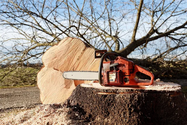 chainsaw, tree, tree pruning, forest work, saw, nature, felling, woodwork, dangerous, forestry, work, like. Arborist Pruning Contracts: Key Clauses for Commercial Tree Care Clients