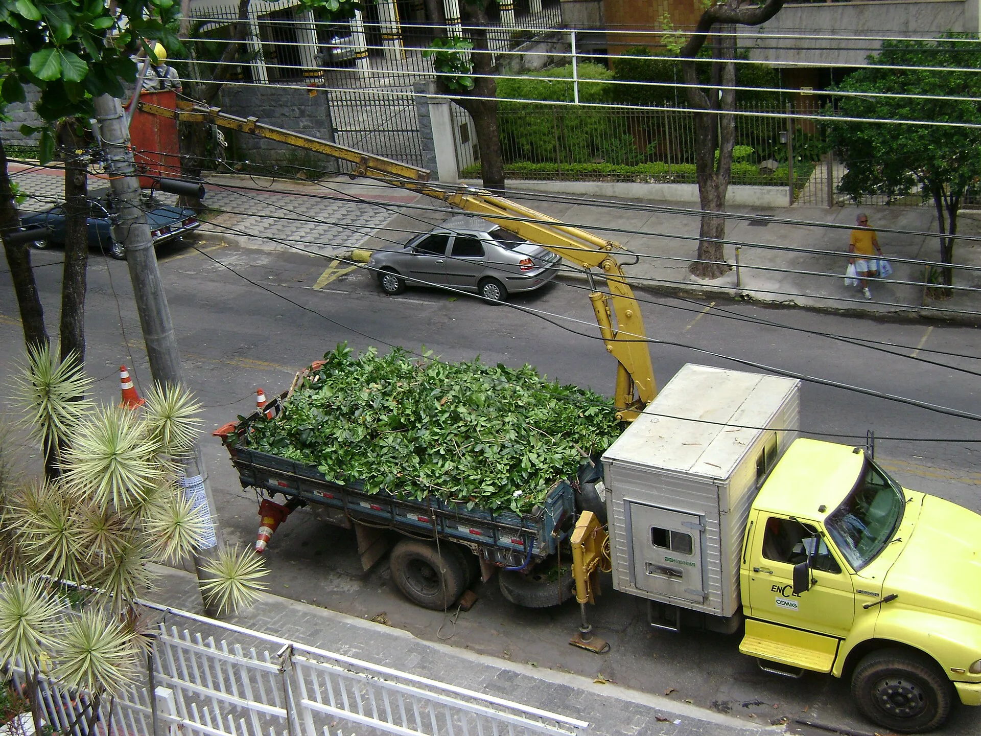 Truck loaded with pieces of tree in Belo Horizonte, Brazil, with a crane that lifts a worker pruning the trees, which also helps avoid problems with the power lines. Where a tree service business does best: markets to consider