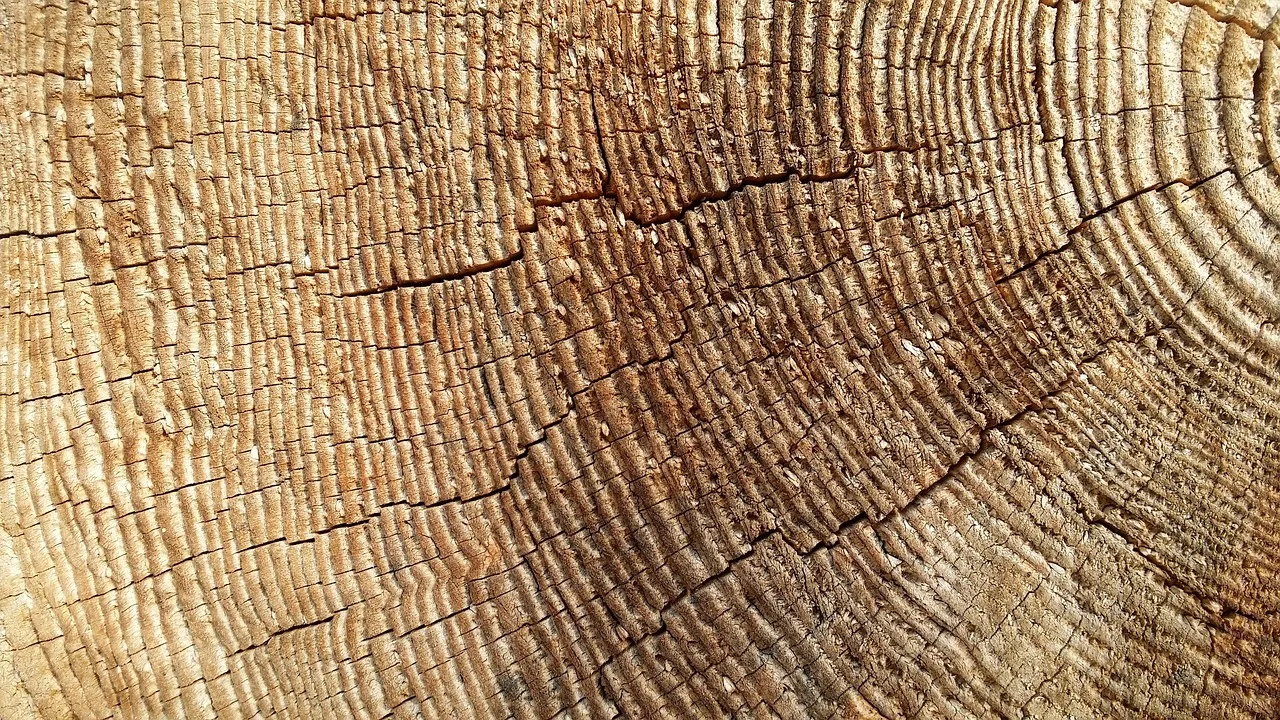 invoice, cross-section, wood, trunk cross-section, trunk. Referrals for a tree service business: how owners get more of them