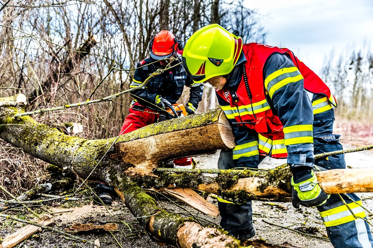 fire fighters, storm, tree, nature, wind, storm damage, fire service, firefighter. Local SEO checklist for tree service business owners