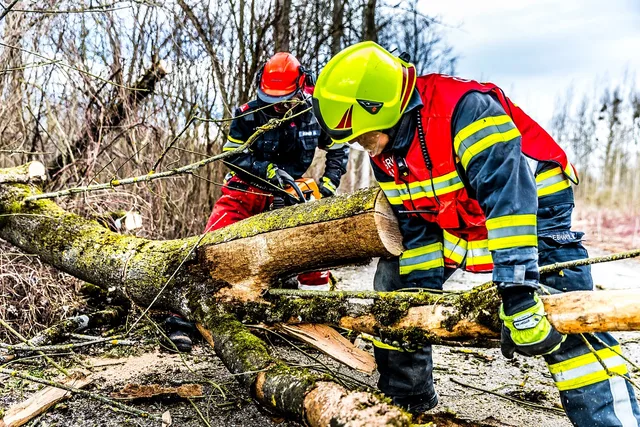 fire fighters, storm, tree, nature, wind, storm damage, fire service, firefighter. Local SEO checklist for tree service business owners