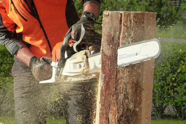 wood, chainsaw, tree, artwork, sculpture, felling, wood art, nature, work, tree pruning. How climate shapes arborist pruning work in Canada