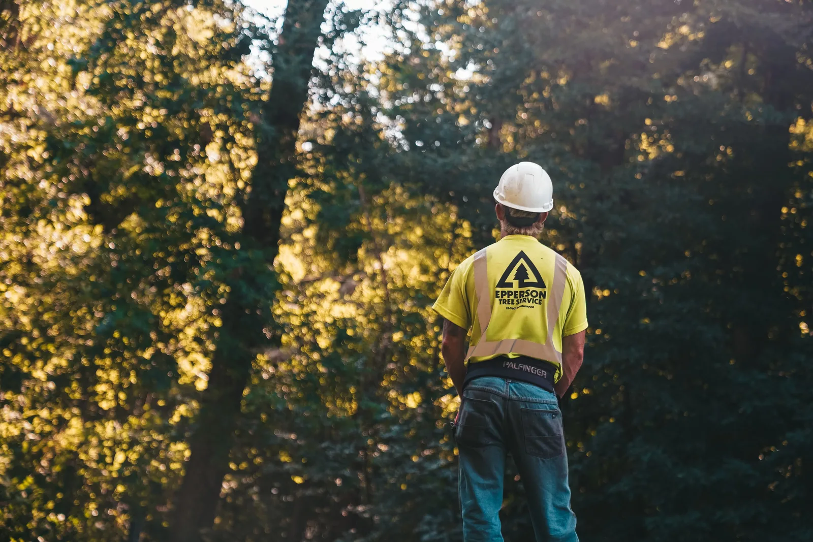 A tree service worker stands in a forest wearing a hardhat and safety vest, ready for a day of outdoor work. The tree service business plan: sections that matter