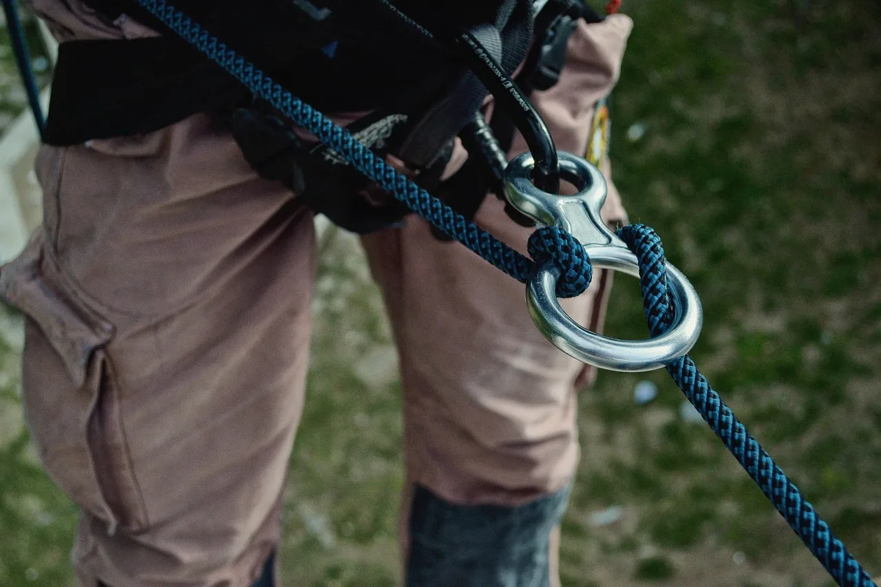rappelling, adventure, climbing, carabiner, climber, equipment, climbing, climbing, climbing, climbing, climbing. Tree service equipment: what to buy first
