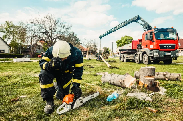 Arborist in safety gear using chainsaw beside truck with crane in an outdoor setting. Tree service marketing and growth for owners in 2027
