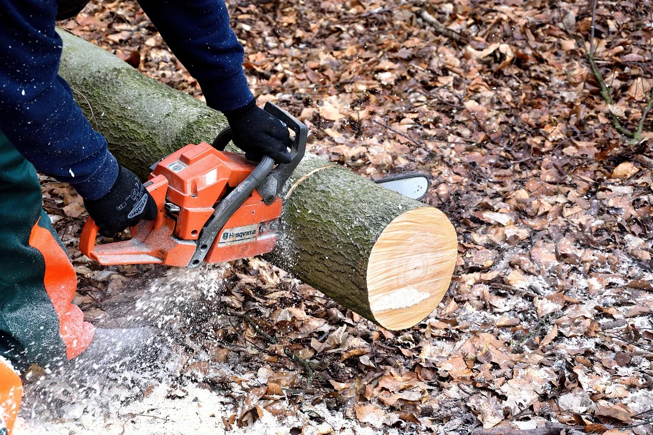 lumberjack, chainsaw, woodwork, tree trunks, lumber, lumberjack, chainsaw, chainsaw, chainsaw, chainsaw, chainsaw. What do WSIB, WorkSafeBC and Alberta WCB cost a tree service crew?